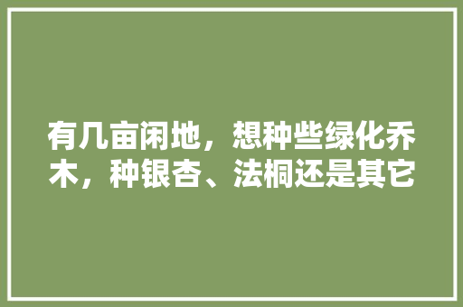 有几亩闲地，想种些绿化乔木，种银杏、法桐还是其它树木好？该如何选择，小区行道绿化树木类型有哪些。