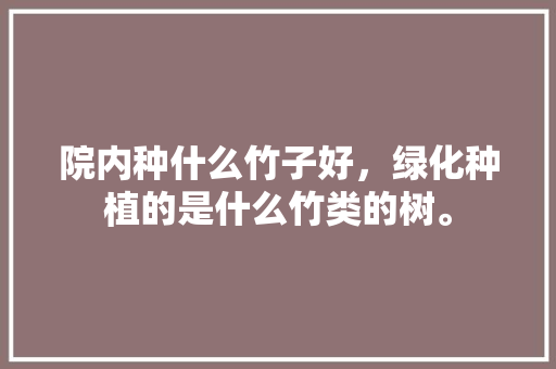 院内种什么竹子好，绿化种植的是什么竹类的树。