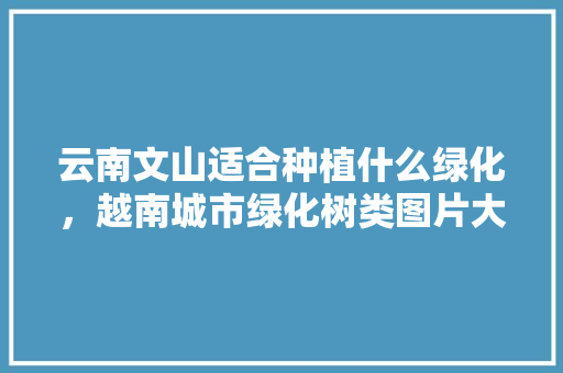 云南文山适合种植什么绿化，越南城市绿化树类图片大全。