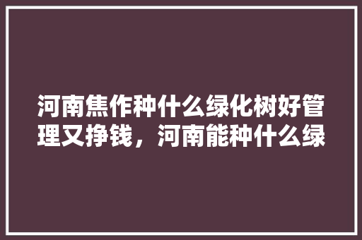 河南焦作种什么绿化树好管理又挣钱，河南能种什么绿化树类植物。