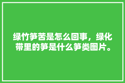 绿竹笋苦是怎么回事，绿化带里的笋是什么笋类图片。