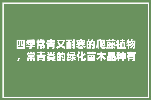 四季常青又耐寒的爬藤植物，常青类的绿化苗木品种有哪些。