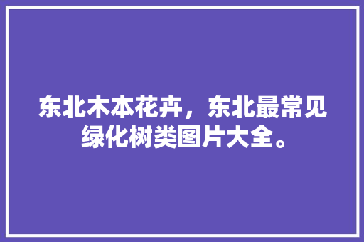 东北木本花卉，东北最常见绿化树类图片大全。