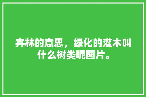 卉林的意思，绿化的灌木叫什么树类呢图片。