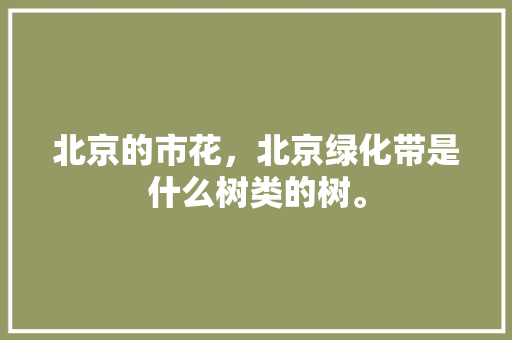 北京的市花，北京绿化带是什么树类的树。