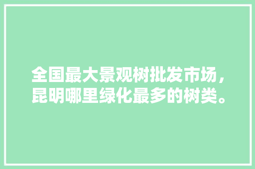 全国最大景观树批发市场，昆明哪里绿化最多的树类。