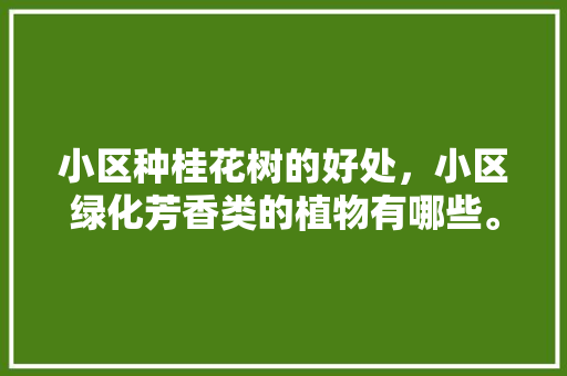 小区种桂花树的好处，小区绿化芳香类的植物有哪些。