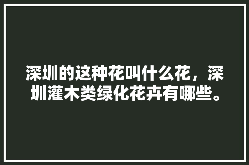 深圳的这种花叫什么花，深圳灌木类绿化花卉有哪些。  第1张 深圳的这种花叫什么花，深圳灌木类绿化花卉有哪些。 绿化类