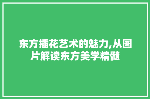 东方插花艺术的魅力,从图片解读东方美学精髓 绿化类