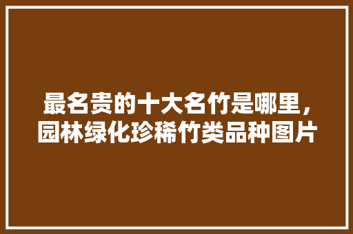 最名贵的十大名竹是哪里，园林绿化珍稀竹类品种图片大全。