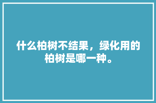 什么柏树不结果，绿化用的柏树是哪一种。