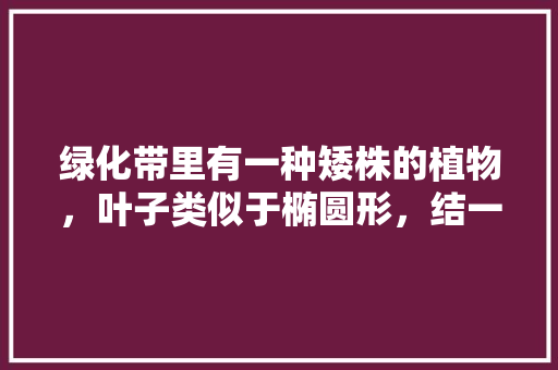 绿化带里有一种矮株的植物，叶子类似于椭圆形，结一种貌似枸杞一样的小果果（圆的）叫什么，绿化带灌木类植物图片大全。