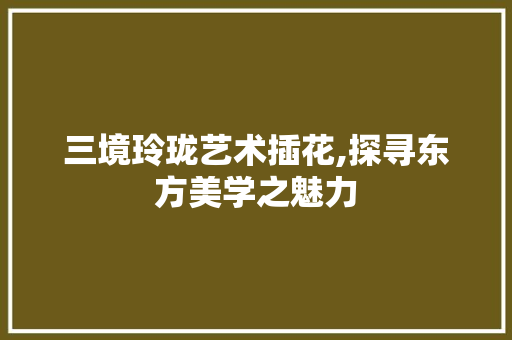 三境玲珑艺术插花,探寻东方美学之魅力