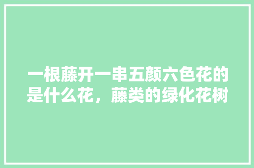 一根藤开一串五颜六色花的是什么花，藤类的绿化花树有哪些。