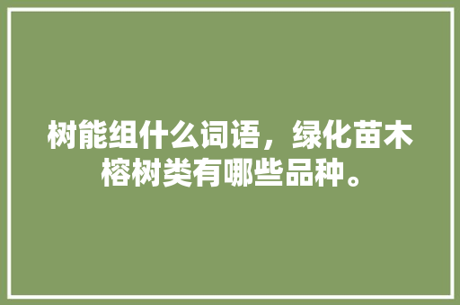 树能组什么词语，绿化苗木榕树类有哪些品种。