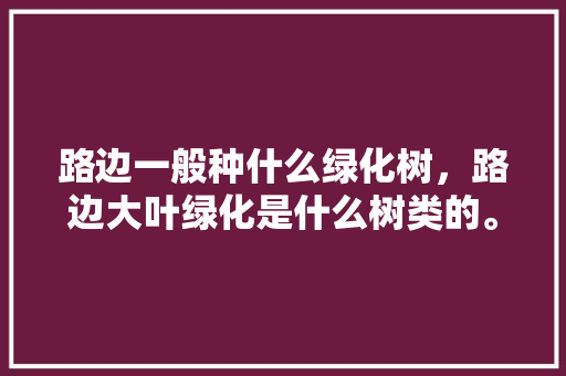 路边一般种什么绿化树，路边大叶绿化是什么树类的。