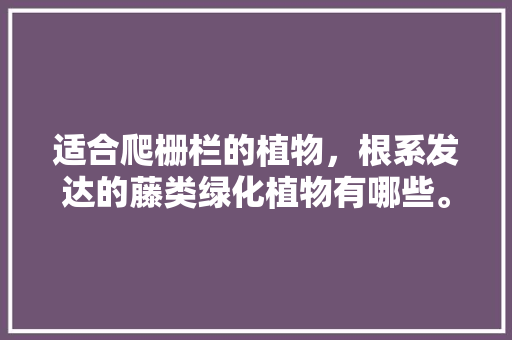适合爬栅栏的植物，根系发达的藤类绿化植物有哪些。