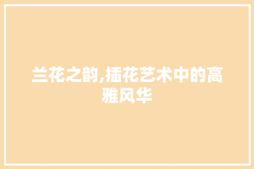 兰花之韵,插花艺术中的高雅风华
