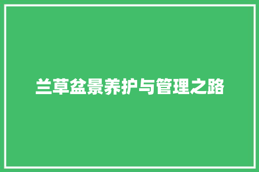 兰草盆景养护与管理之路