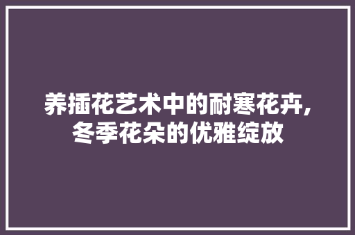 养插花艺术中的耐寒花卉,冬季花朵的优雅绽放