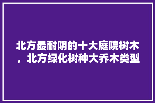 北方最耐阴的十大庭院树木，北方绿化树种大乔木类型有哪些。