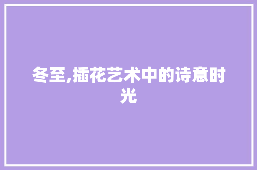 冬至,插花艺术中的诗意时光