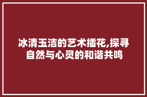 冰清玉洁的艺术插花,探寻自然与心灵的和谐共鸣