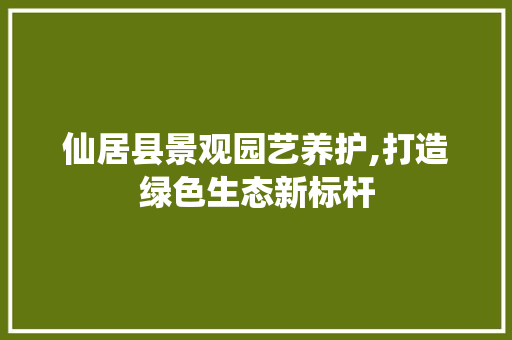 仙居县景观园艺养护,打造绿色生态新标杆