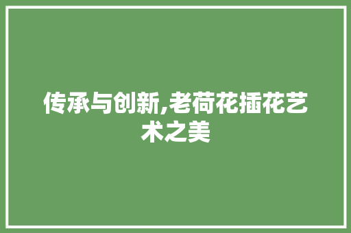传承与创新,老荷花插花艺术之美