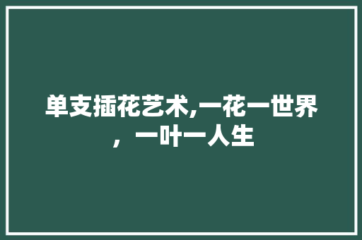 单支插花艺术,一花一世界，一叶一人生