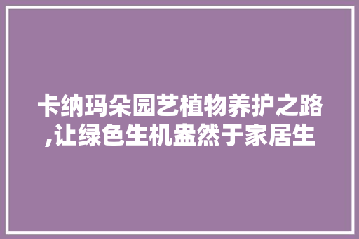卡纳玛朵园艺植物养护之路,让绿色生机盎然于家居生活