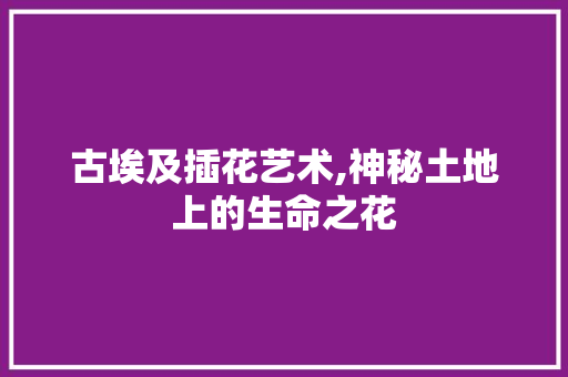古埃及插花艺术,神秘土地上的生命之花