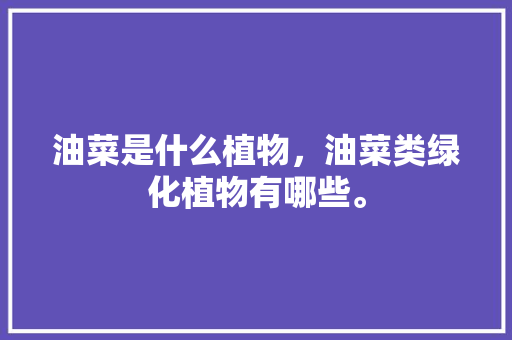 油菜是什么植物，油菜类绿化植物有哪些。