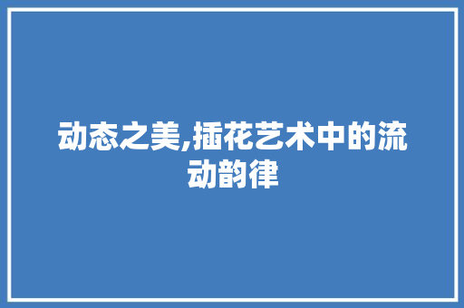 动态之美,插花艺术中的流动韵律