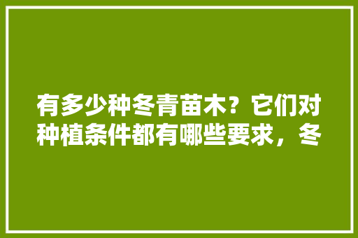 有多少种冬青苗木？它们对种植条件都有哪些要求，冬青类绿化植物有哪些图片。