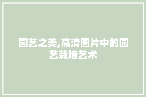园艺之美,高清图片中的园艺栽培艺术
