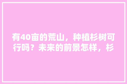 有40亩的荒山，种植杉树可行吗？未来的前景怎样，杉木算不算绿化苗木类别。