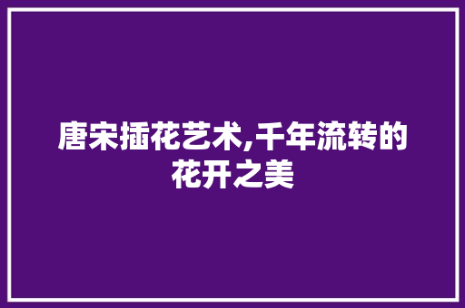 唐宋插花艺术,千年流转的花开之美
