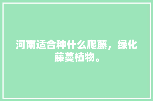 河南适合种什么爬藤，绿化藤蔓植物。  第1张 河南适合种什么爬藤，绿化藤蔓植物。 花卉百科