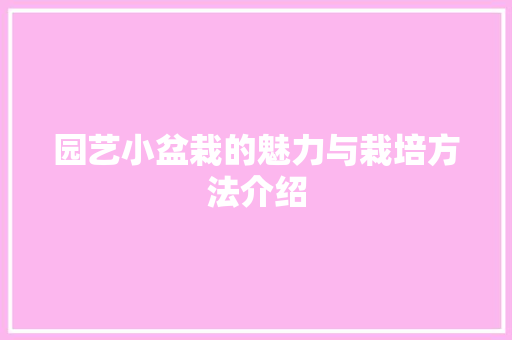 园艺小盆栽的魅力与栽培方法介绍