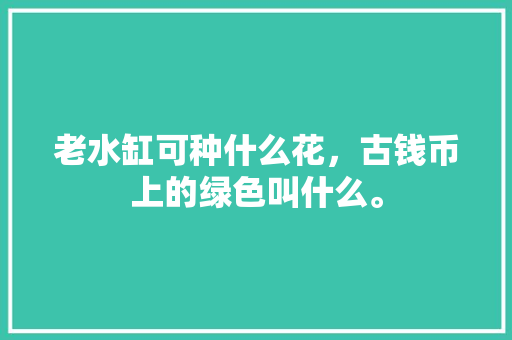 老水缸可种什么花，古钱币上的绿色叫什么。
