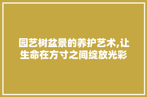 园艺树盆景的养护艺术,让生命在方寸之间绽放光彩