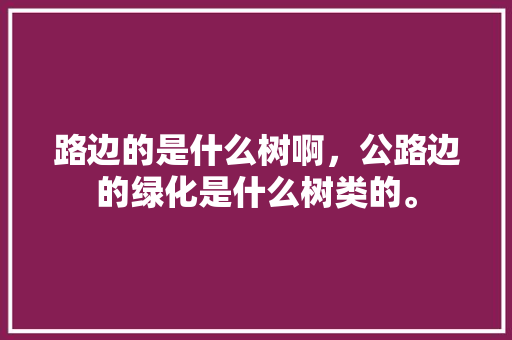 路边的是什么树啊，公路边的绿化是什么树类的。