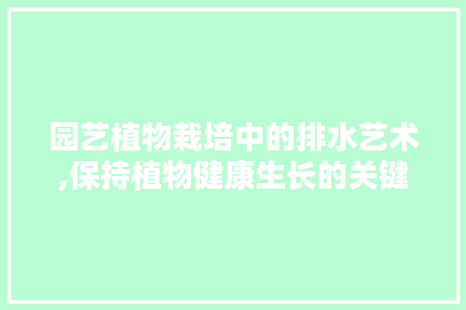 园艺植物栽培中的排水艺术,保持植物健康生长的关键