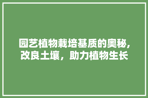 园艺植物栽培基质的奥秘,改良土壤，助力植物生长