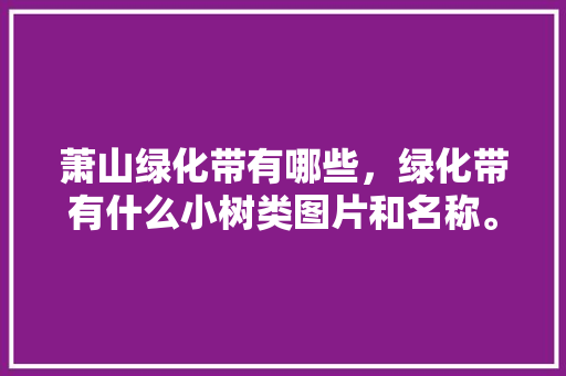 萧山绿化带有哪些，绿化带有什么小树类图片和名称。