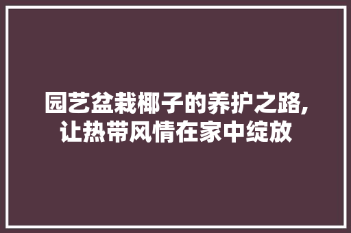 园艺盆栽椰子的养护之路,让热带风情在家中绽放