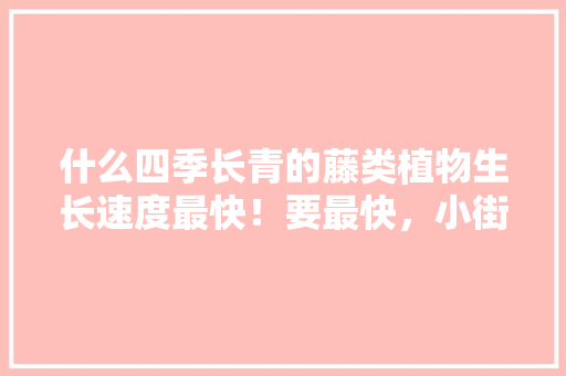 什么四季长青的藤类植物生长速度最快！要最快，小街巷藤类植物绿化效果图片。