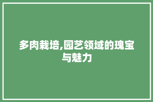 多肉栽培,园艺领域的瑰宝与魅力