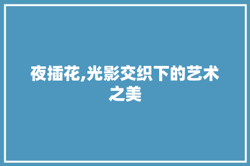 夜插花,光影交织下的艺术之美